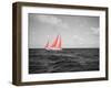 Color Pop, Sailboat in the sea, Bahamas, Living Coral-null-Framed Photographic Print