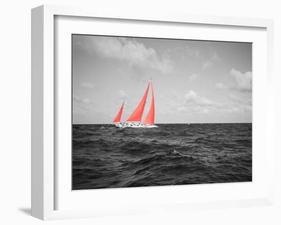 Color Pop, Sailboat in the sea, Bahamas, Living Coral-null-Framed Photographic Print