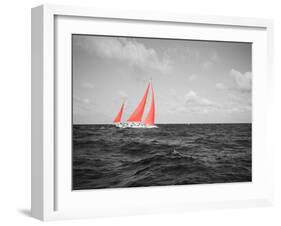 Color Pop, Sailboat in the sea, Bahamas, Living Coral-null-Framed Photographic Print