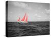 Color Pop, Sailboat in the sea, Bahamas, Living Coral-null-Stretched Canvas