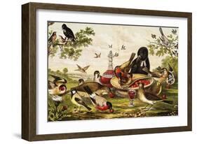 Color Print of Birds Feasting on a Fruit Pie-null-Framed Giclee Print