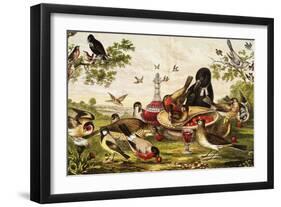 Color Print of Birds Feasting on a Fruit Pie-null-Framed Giclee Print