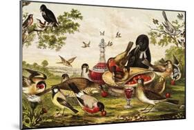 Color Print of Birds Feasting on a Fruit Pie-null-Mounted Giclee Print