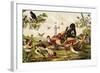 Color Print of Birds Feasting on a Fruit Pie-null-Framed Giclee Print