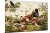 Color Print of Birds Feasting on a Fruit Pie-null-Mounted Giclee Print