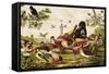 Color Print of Birds Feasting on a Fruit Pie-null-Framed Stretched Canvas