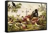 Color Print of Birds Feasting on a Fruit Pie-null-Framed Stretched Canvas