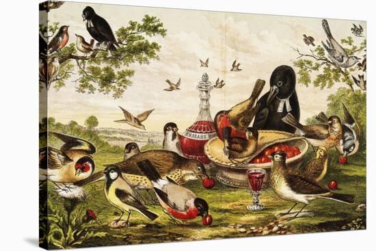 Color Print of Birds Feasting on a Fruit Pie-null-Stretched Canvas