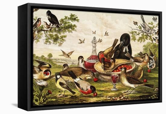 Color Print of Birds Feasting on a Fruit Pie-null-Framed Stretched Canvas