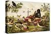Color Print of Birds Feasting on a Fruit Pie-null-Stretched Canvas