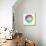 Color Round Palette-Lukas Kurka-Stretched Canvas displayed on a wall