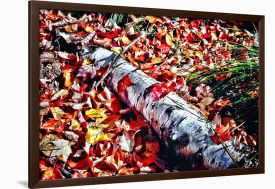 Color Splash Of Nature-George Oze-Framed Photographic Print