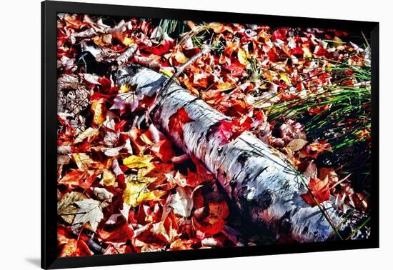 Color Splash Of Nature-George Oze-Framed Photographic Print