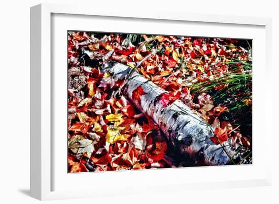 Color Splash Of Nature-George Oze-Framed Photographic Print