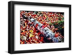 Color Splash Of Nature-George Oze-Framed Photographic Print