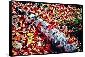 Color Splash Of Nature-George Oze-Framed Stretched Canvas