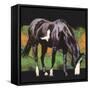 Color Square II-Julie Chapman-Framed Stretched Canvas