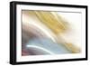 Color Streaks I-Karyn Millet-Framed Photographic Print