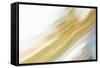 Color Streaks II-Karyn Millet-Framed Stretched Canvas