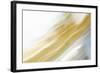 Color Streaks II-Karyn Millet-Framed Photographic Print