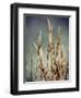 Color the Wind-Christy Ann-Framed Giclee Print