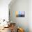 Color Trio-Heidi Westum-Photographic Print displayed on a wall