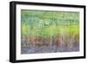 Color VI-Kathy Mahan-Framed Premium Photographic Print