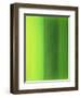 Color Works 6-Ruth Palmer 2-Framed Art Print