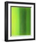 Color Works 6-Ruth Palmer 2-Framed Art Print