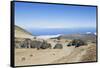 Colorada Mountain, Teide National Park, Tenerife, Canary Islands, Spain-Guido Cozzi-Framed Stretched Canvas