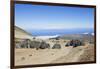 Colorada Mountain, Teide National Park, Tenerife, Canary Islands, Spain-Guido Cozzi-Framed Photographic Print