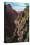 Colorado, Aerial View of the Depths of Gore Canyon-Lantern Press-Stretched Canvas