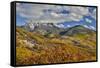 Colorado, Autumn, Mountains of the Rio Grande National Forest and Courthouse Mountains-Darrell Gulin-Framed Stretched Canvas