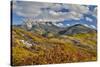 Colorado, Autumn, Mountains of the Rio Grande National Forest and Courthouse Mountains-Darrell Gulin-Stretched Canvas