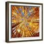 Colorado Autumn Splendor-Lena Owens-Framed Photo