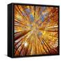 Colorado Autumn Splendor-Lena Owens-Framed Stretched Canvas