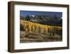 Colorado. Autumn Yellow Aspen and Fir Trees Near Owl Creek Pass, Uncompahgre National Forest-Judith Zimmerman-Framed Photographic Print