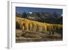 Colorado. Autumn Yellow Aspen and Fir Trees Near Owl Creek Pass, Uncompahgre National Forest-Judith Zimmerman-Framed Photographic Print