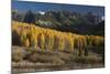 Colorado. Autumn Yellow Aspen and Fir Trees Near Owl Creek Pass, Uncompahgre National Forest-Judith Zimmerman-Mounted Photographic Print