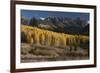 Colorado. Autumn Yellow Aspen and Fir Trees Near Owl Creek Pass, Uncompahgre National Forest-Judith Zimmerman-Framed Photographic Print