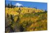 Colorado. Autumn Yellow Aspen, Mountains, and Clouds, Uncompahgre National Forest-Judith Zimmerman-Stretched Canvas