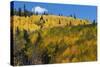 Colorado. Autumn Yellow Aspen, Mountains, and Clouds, Uncompahgre National Forest-Judith Zimmerman-Stretched Canvas