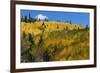 Colorado. Autumn Yellow Aspen, Mountains, and Clouds, Uncompahgre National Forest-Judith Zimmerman-Framed Photographic Print