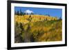 Colorado. Autumn Yellow Aspen, Mountains, and Clouds, Uncompahgre National Forest-Judith Zimmerman-Framed Photographic Print