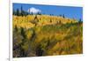 Colorado. Autumn Yellow Aspen, Mountains, and Clouds, Uncompahgre National Forest-Judith Zimmerman-Framed Photographic Print