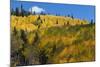 Colorado. Autumn Yellow Aspen, Mountains, and Clouds, Uncompahgre National Forest-Judith Zimmerman-Mounted Photographic Print