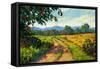 Colorado Back Road-Patty Baker-Framed Stretched Canvas