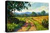 Colorado Back Road-Patty Baker-Stretched Canvas