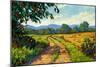 Colorado Back Road-Patty Baker-Mounted Art Print