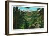 Colorado, Bear Creek Valley View of Mount Evans-Lantern Press-Framed Art Print